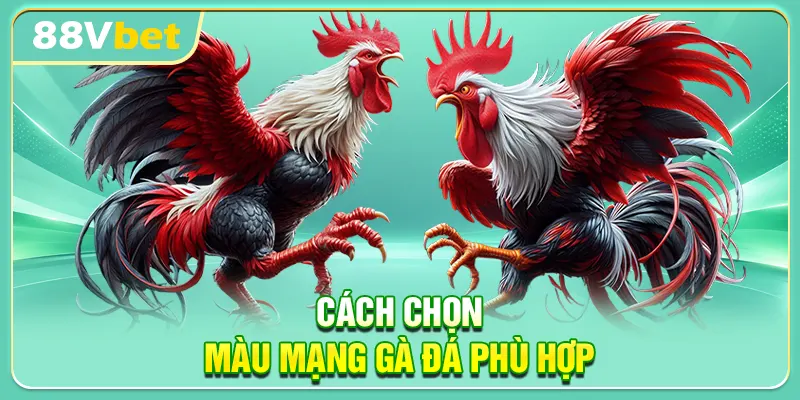 Cách chọn màu mạng gà đá phù hợp
